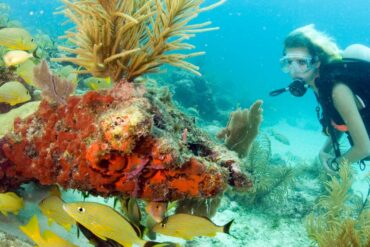 Snorkelling Locations in Lehigh Acres Florida