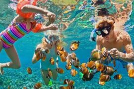 Snorkelling Locations in Manteca California