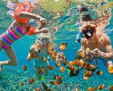 Snorkelling Locations in Manteca California