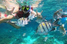 Snorkelling Locations in Mobile Alabama