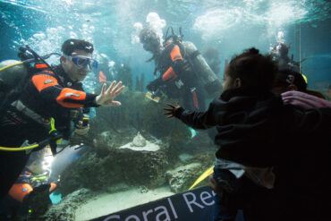 Snorkelling Locations in New York City