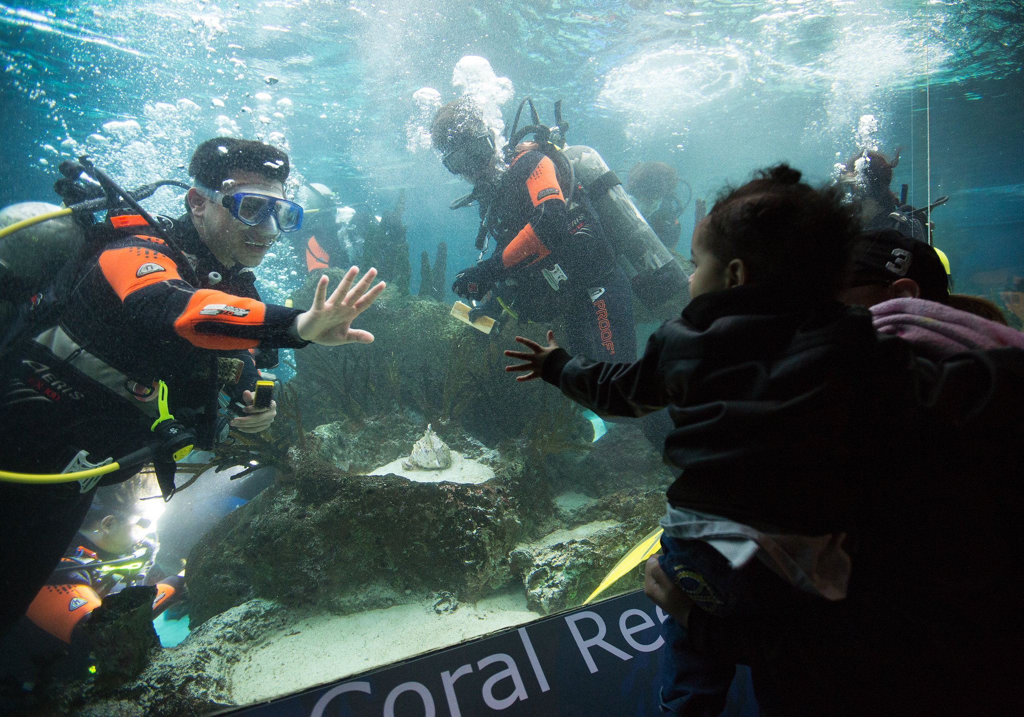 Snorkelling Locations in New York City