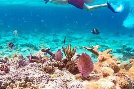 Snorkelling Locations in Noblesville Indiana