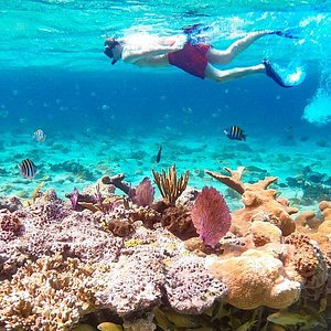 Snorkelling Locations in Noblesville Indiana