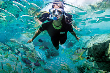 Snorkelling Locations in Orlando Florida