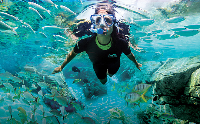 Snorkelling Locations in Orlando Florida