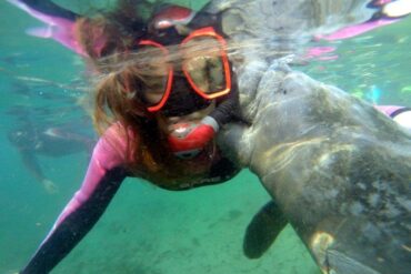 Snorkelling Locations in Plantation Florida