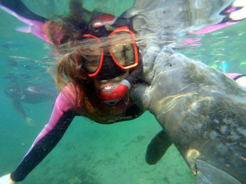 Snorkelling Locations in Plantation Florida