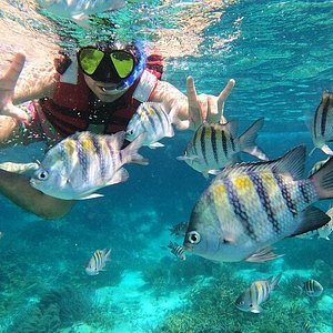 Snorkelling Locations in Plymouth Minnesota