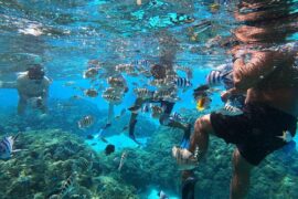 Snorkelling Locations in Riverside California