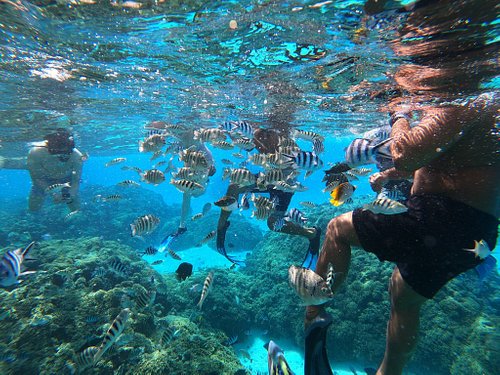 Snorkelling Locations in Riverside California