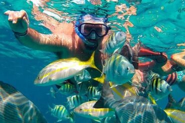 Snorkelling Locations in Riverview Florida