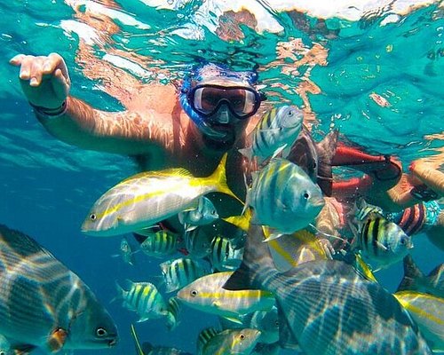 Snorkelling Locations in Riverview Florida