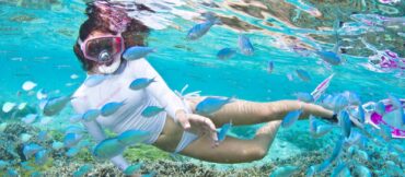 Snorkelling Locations in Rockford Illinois