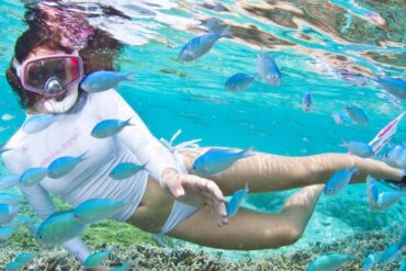 Snorkelling Locations in Rockford Illinois