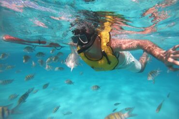 Snorkelling Locations in Rockville Maryland