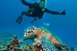 Snorkelling Locations in Tamarac Florida