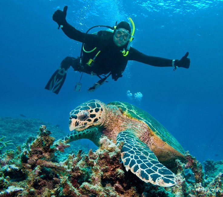 Snorkelling Locations in Tamarac Florida