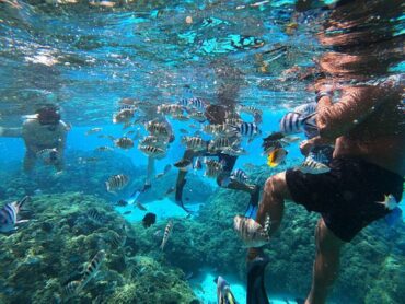 Snorkelling Locations in Weston Florida