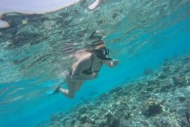 Snorkelling Locations in Yuma Arizona