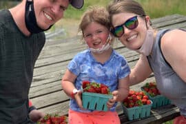 Strawberry Picking Places in Baltimore Maryland