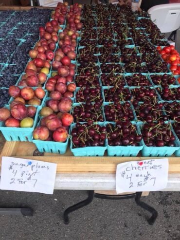 Strawberry Picking Places in Dale City Virginia