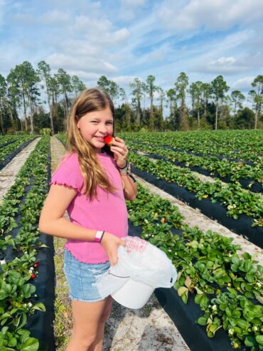 Strawberry Picking Places in Deltona Florida