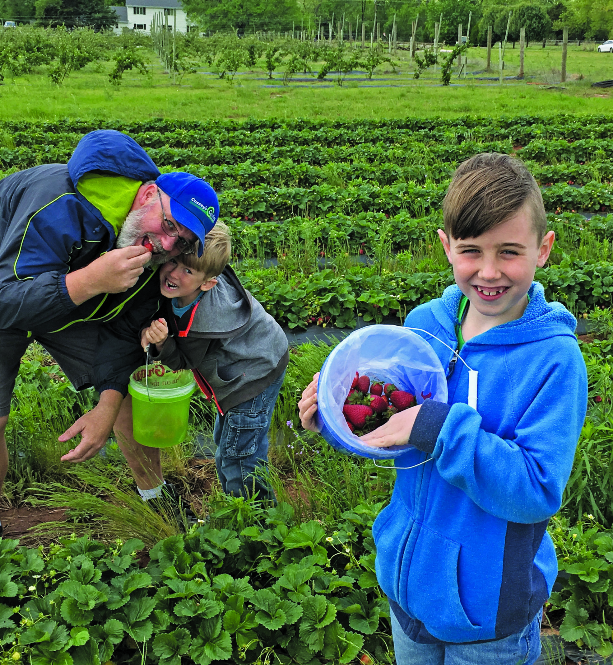 Strawberry Picking Places in Edmond Oklahoma