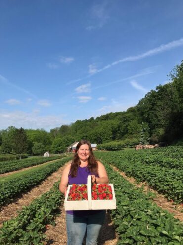 Strawberry Picking Places in Greeley Colorado