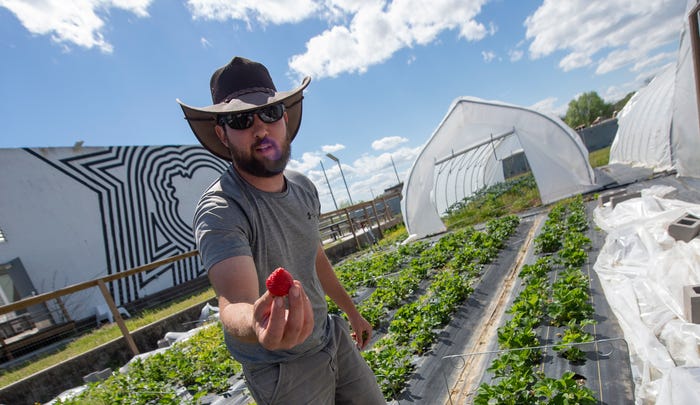 Strawberry Picking Places in Jackson Mississippi