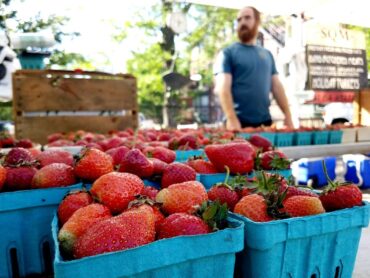 Strawberry Picking Places in Joliet Illinois