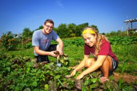 Strawberry Picking Places in Lafayette Louisiana