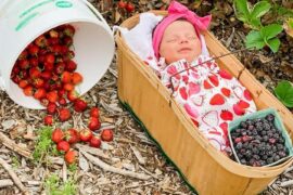 Strawberry Picking Places in Peoria Illinois