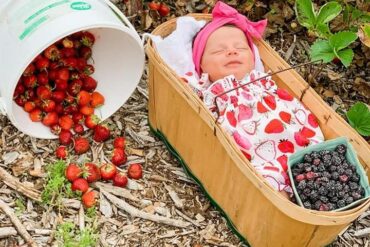 Strawberry Picking Places in Peoria Illinois