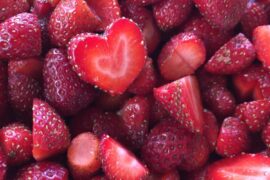 Strawberry Picking Places in Roanoke Virginia