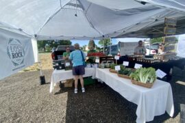 Sunday Markets in Broomfield Colorado