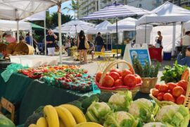 Sunday Markets in Davie Florida