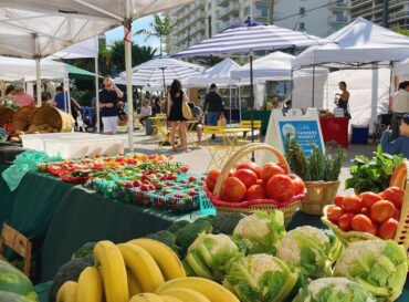 Sunday Markets in Davie Florida