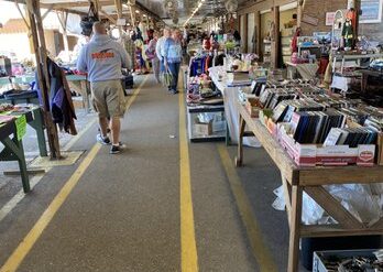 Sunday Markets in Fort Myers Florida