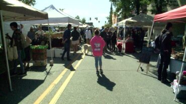 Sunday Markets in Fort Wayne Indiana