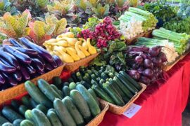 Sunday Markets in Hillsborough County Florida