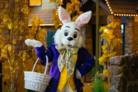 Things to do at Easter for Kids in Aurora Colorado