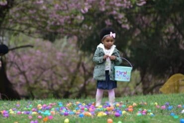 Things to do at Easter for Kids in Baltimore Maryland