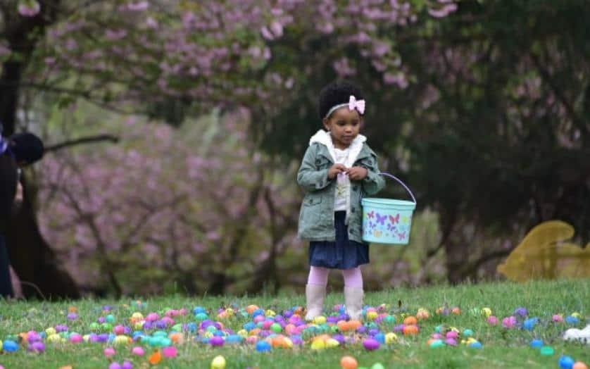 Things to do at Easter for Kids in Baltimore Maryland