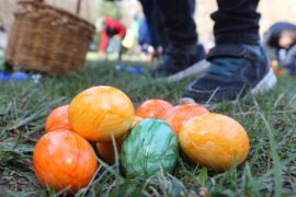 Things to do at Easter for Kids in Blaine Minnesota