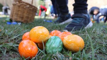 Things to do at Easter for Kids in Blaine Minnesota