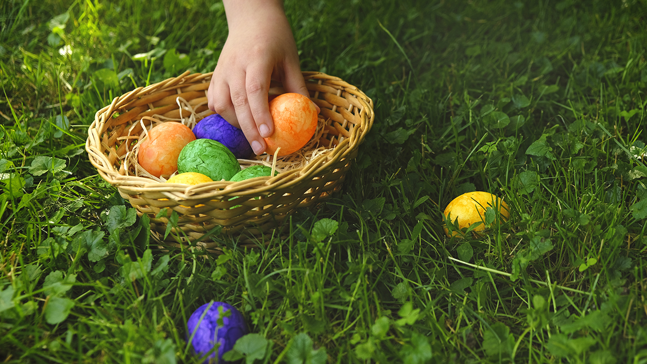 Things to do at Easter for Kids in Bloomington Illinois