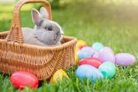 Things to do at Easter for Kids in Dale City Virginia