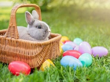 Things to do at Easter for Kids in Dale City Virginia