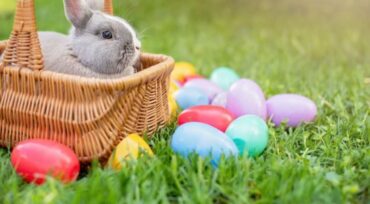 Things to do at Easter for Kids in Deltona Florida